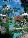 Colony Club 